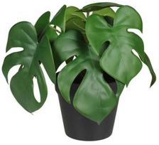 Dirbtinis augalas vazone, monstera Splendid, žalia, 23 cm