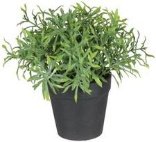 Dirbtinis augalas vazone, vaistažolės Splendid Herbs 1, žalia, 20 cm