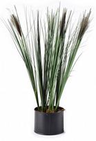 Dirbtinis augalas vazone, žolė Mondex Artificial Flower HTQB3516, ruda/žalia, 54 cm