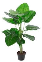 Dirbtinis augalas vazone Home4you Pothos, žalia, 90 cm