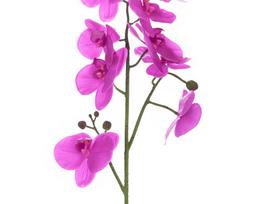 Dirbtinė gėlė orchidėja NOVELLY HOME GFQ-001, violetinės sp., aukštis - 58 cm.