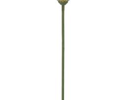 Dirbtinė gėlė gerbera NOVELLY HOME FP-3290/GA/O,  oranžinės sp., aukštis - 59 cm.
