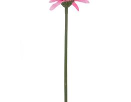 Dirbtinė gėlė gerbera NOVELLY HOME FP-3290/GA/R, rožinės sp., aukštis - 59 cm.