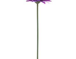 Dirbtinė gėlė gerbera NOVELLY HOME FP-3290/GA/V,  violetinės sp., aukštis - 59 cm.