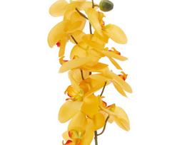 Dirbtinė gėlė orchidėja NOVELLY HOME FS-3343/BO/G,  geltonos sp., aukštis - 89 cm.