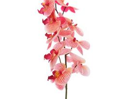 Dirbtinė gėlė orchidėja NOVELLY HOME FS-3343/BO/R, rožinės sp., aukštis - 89 cm.