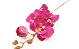 Dirbtinė gėlė orchidėja "Novelly Home", violetinės sp. 69 cm,  DY4-5B