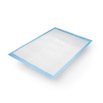 Absorbuojantis paklotas Zarys, 40x60 cm, 25 vnt.