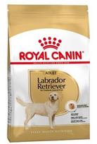 royal canin sunu 12kg - Royal Canin Labrador Retriever Adult 12 kg - 1 nuotrauka