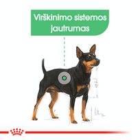 suaugusiesiems, - ROYAL CANIN Mini Digestive Care 8 kg - 3 nuotrauka