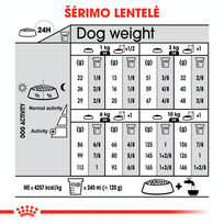 suaugusiesiems, - ROYAL CANIN Mini Digestive Care 8 kg - 4 nuotrauka