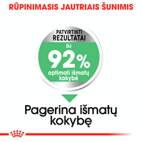 suaugusiesiems, - ROYAL CANIN Mini Digestive Care 8 kg - 7 nuotrauka