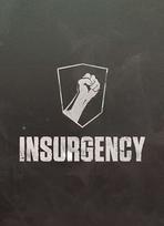 Insurgency