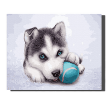 Tapyba pagal skaičius Husky šuniukas su kamuoliuku