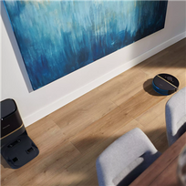 homera - Philips XU7100/01 - 9 nuotrauka