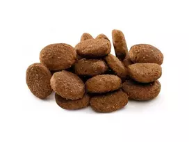 brit premium 15 - Brit Premium by Nature Junior XL Dog Chicken 15kg - 1 nuotrauka