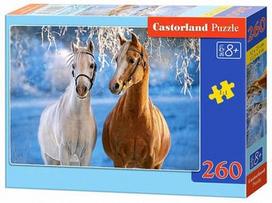 Castorland Puzzle The Winter Horses 260pcs