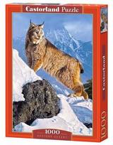 zaislinis sunkvezimis - Castorland Puzzle Austere Ascent 1000pcs - 1 nuotrauka