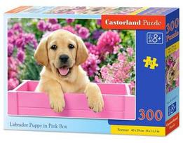 Castorland Puzzle "Labrador Puppy in Pink Box 300pcs