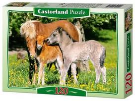 Castorland Puzzle Ponies in The Meadow  120pcs
