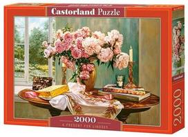 Castorland Puzzle A Present For Lindsey 2000pcs