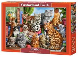 Castorland Puzzle Hause Of Cats 2000pcs