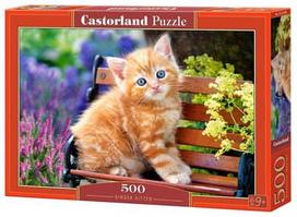 Castorland Puzzle Gingger Kitten 500pcs