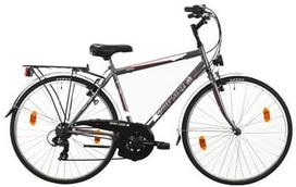 dviraciai vyriskas - Bottari Good Bike Oxford 50cm 28" Grey - 1 nuotrauka