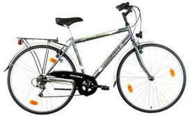 dviracio remas - Bottari Good Bike Universal Trekking 28" Grey - 1 nuotrauka