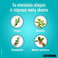listerine eurovaistine - Listerine Mouthwash Cool Mint 1000ml - 3 nuotrauka