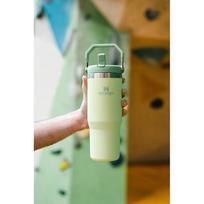 stanley termo puodelis - Stanley The IceFlow Flip Straw Tumbler, 0.89 l, žalia - 11 nuotrauka