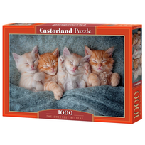 puzzle castorland - Castorland The Sweetest Kittens 1000 det. - 1 nuotrauka