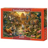Castorland Tigers Paradise 1000 det.
