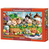 Castorland Napping Kittens 1000 det.