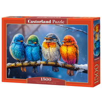 Castorland Together Warmer 1500 det.