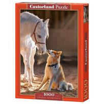 Castorland Unique Friendship 1000 det