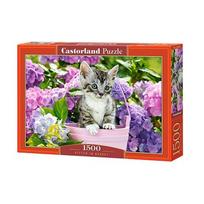 Castorland KITTEN IN BASKET 1500 det.