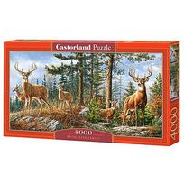 Castorland Royal Deer Family 4000 det.