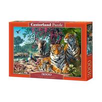 Castorland Tiger Sanctuary  3000 det.
