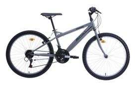 Pirkti Bottari MTB Torino, 24 ", 24" rėmas, pilkas - Photo 2