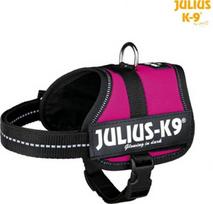 Reguliuojamos petnešos šunims Trixie Julius-K9, purpurinė (magenta), 330 - 450 mm x 18 mm, XS/S