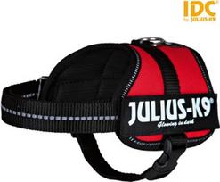 Reguliuojamos petnešos šunims Trixie Julius-K9, raudona, 330 - 450 mm x 18 mm, XS/S