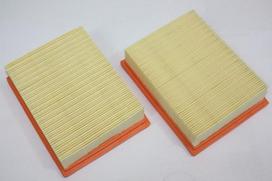 Oro filtras AUTOMEGA 180043910