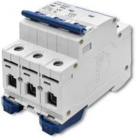 Qoltec B40 grandinės pertraukiklis | Saugiklis | AC | 40A | 3P