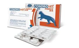 Papildai katėms Bioiberica Condrovet Forse Ha, 45 kaps.