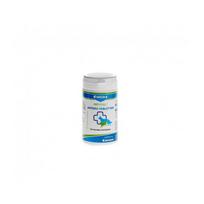Canina Petvital Arthro N60 papildai šunų judrumui atstatyti, 60 g
