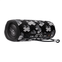 jbl koloneles - JBL Flip 6 Martin Garrix Edition - 5 nuotrauka