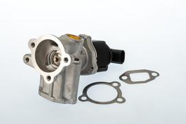 EGR vožtuvas WAHLER WA710773D/1
