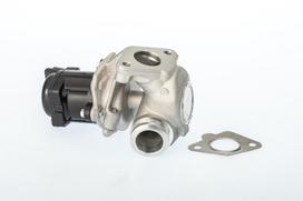 EGR vožtuvas WAHLER WA711021D/1