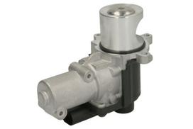 EGR vožtuvas WAHLER WA710977D/1